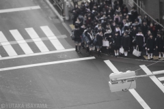 信号待ちの少女たち