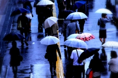 梅雨入り