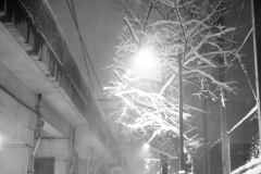 2014年2月14日・東京の大雪-裏通り