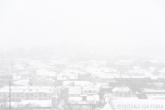 2014年2月8日・東京の大雪