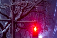 2014年2月14日・東京の大雪-歩行者信号