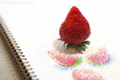イチゴとイチゴのスケッチ(横)