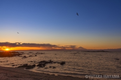 天神島から日没時の富士山と帰巣する鳥